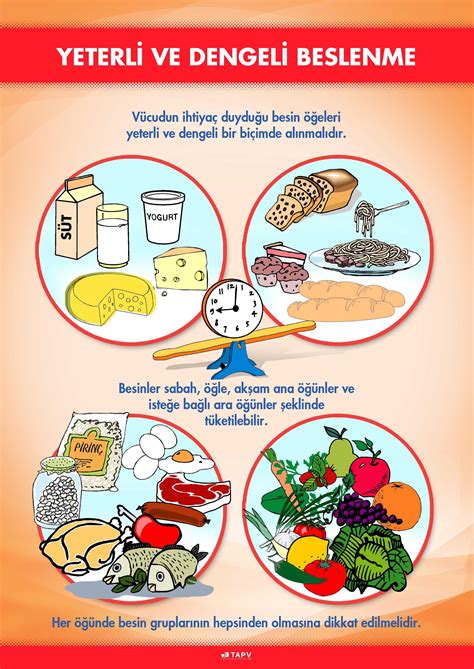 Dengeli Beslenme İçin Günlük Öğün Planı