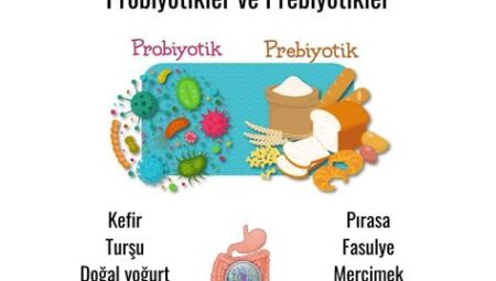 Bağırsak Dostu Gıdalar ve Probiyotikler