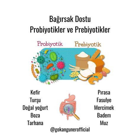 Bağırsak Dostu Gıdalar ve Probiyotikler