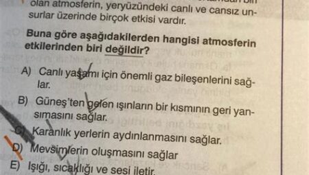 Doğal Yaşamı Benimseyenler İçin Temel İpuçları