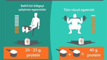 Egzersiz Sonrası Protein Alımı Zamanlaması
