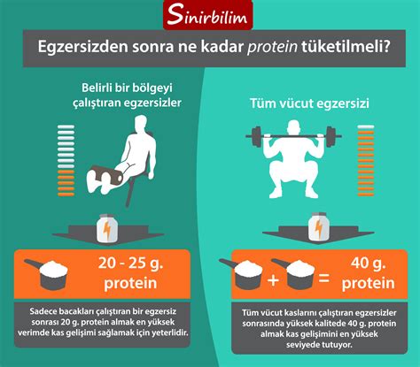 Egzersiz Sonrası Protein Alımı Zamanlaması