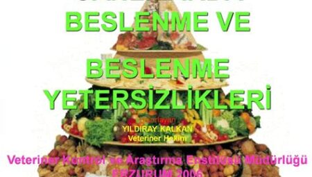 Egzersiz ve Beslenmede Denge Sağlama