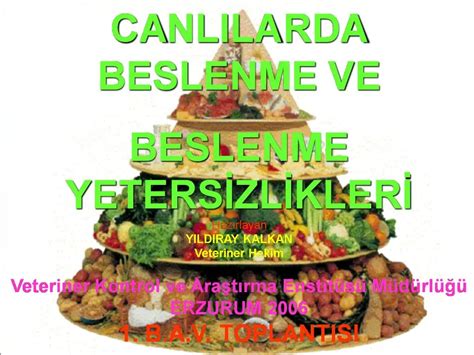 Egzersiz ve Beslenmede Denge Sağlama