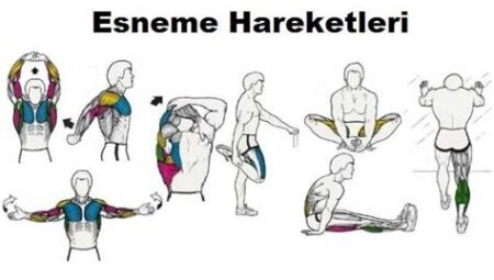 Esneme Hareketlerinin Vücuda Katkıları