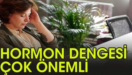 Hormon Dengesine Yardımcı Besinler