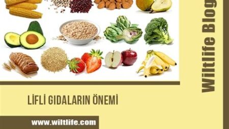 Lifli Gıdaların Sindirim Üzerindeki Etkisi