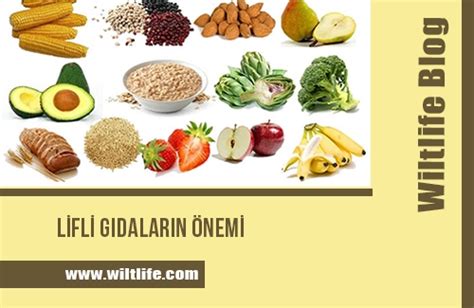 Lifli Gıdaların Sindirim Üzerindeki Etkisi