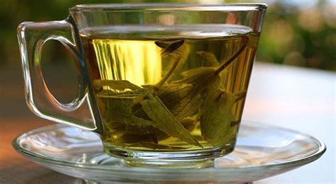 Metabolizmayı Hızlandıran Bitkisel Çaylar