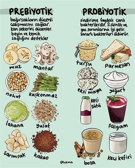 Prebiyotik ve Probiyotik Gıdaların Rolü