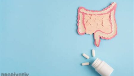 Probiyotiklerin Bağırsak Sağlığına Etkisi
