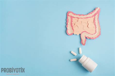 Probiyotiklerin Bağırsak Sağlığına Etkisi