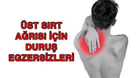 Sırt Ağrıları İçin Egzersiz ve Duruş Önerileri