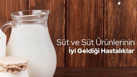 Süt ve Süt Ürünlerinin Vücuda Etkileri