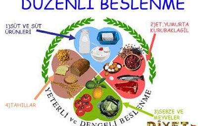 Vücudu Dinleyerek Beslenme Alışkanlığı