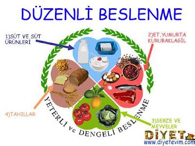 Vücudu Dinleyerek Beslenme Alışkanlığı